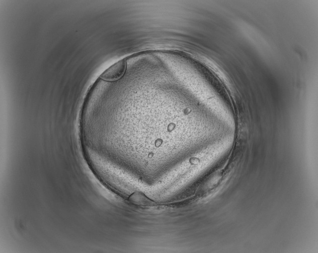 X0000112730803200909031443