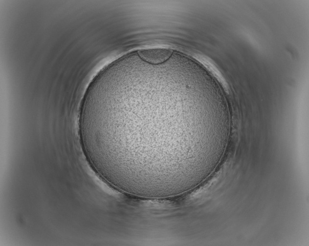 X0000112730805200909031443