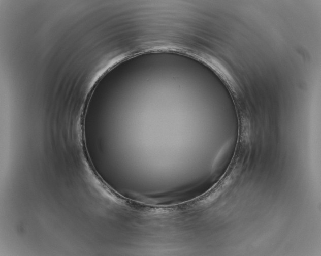 X0000112730806200909031443