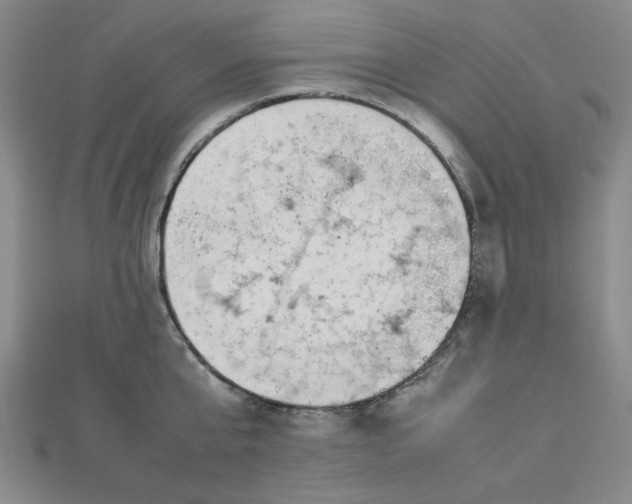 X0000112730807200909031443