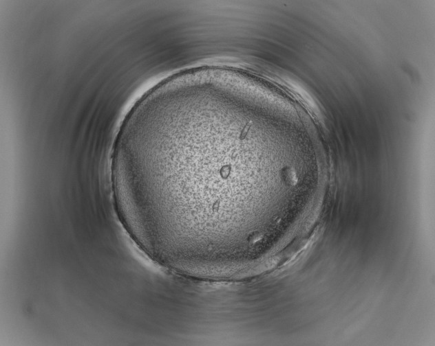 X0000112730808200909031443