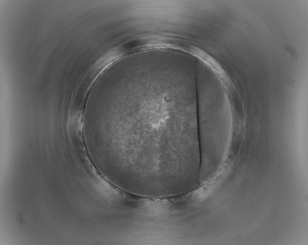 X0000112730809200909031443