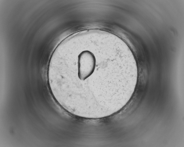 X0000112730810200909031443