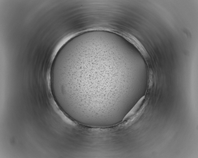 X0000112730812200909031443