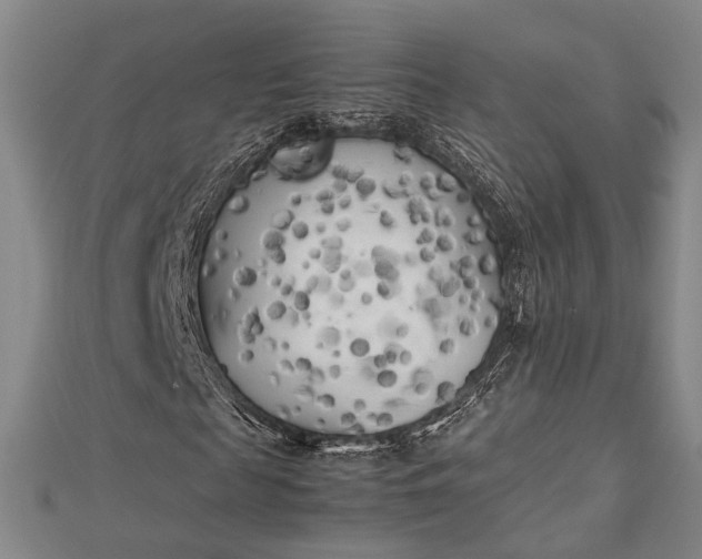 X0000112730817200909031442