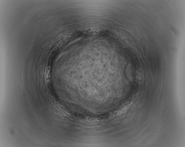 X0000112730818200909031442