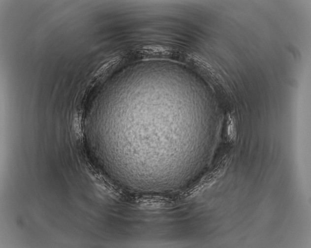 X0000112730819200909031442