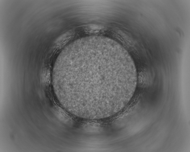 X0000112730820200909031442