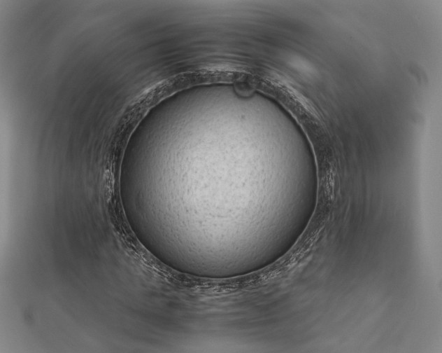 X0000112730821200909031442