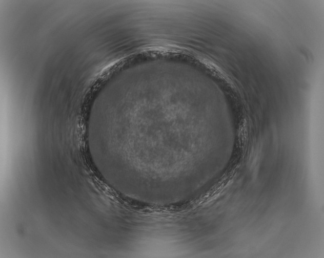 X0000112730822200909031442