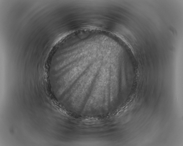 X0000112730823200909031442