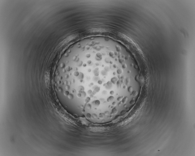 X0000112730825200909031442