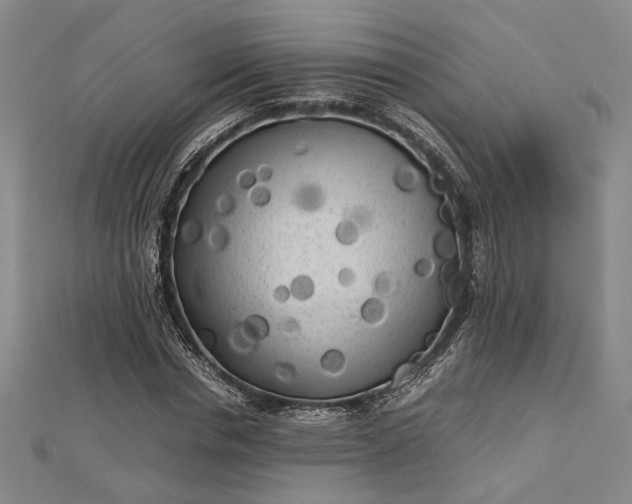 X0000112730826200909031442