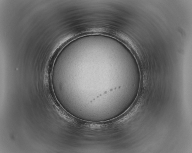 X0000112730827200909031442