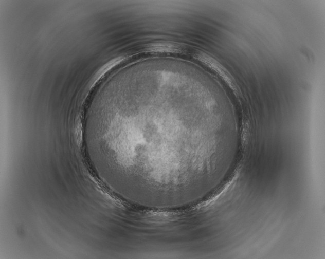 X0000112730829200909031442