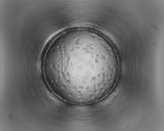 X0000112730830200909031442