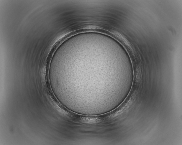 X0000112730831200909031442