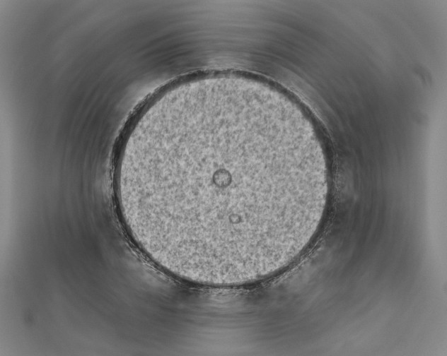 X0000112730832200909031442