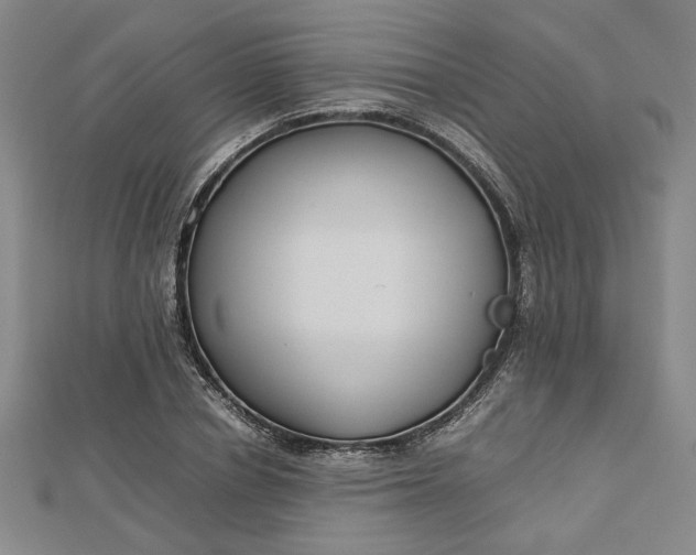 X0000112730834200909031442