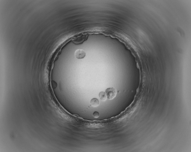 X0000112730835200909031442