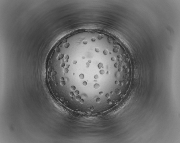 X0000112730837200909031442