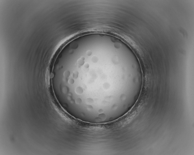 X0000112730838200909031442