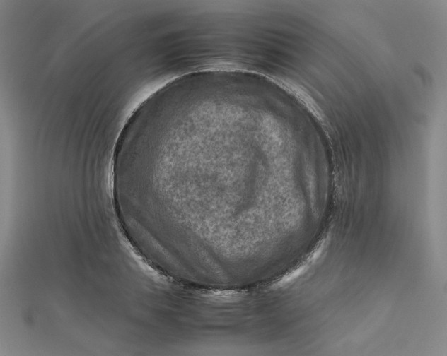 X0000112730839200909031442