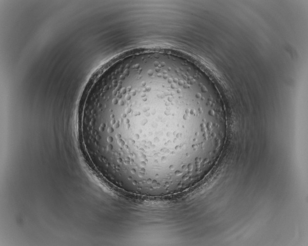 X0000112730840200909031442