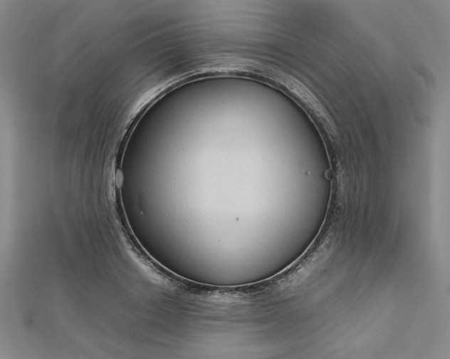 X0000112730842200909031442