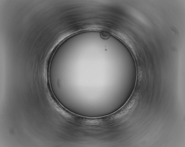 X0000112730843200909031442