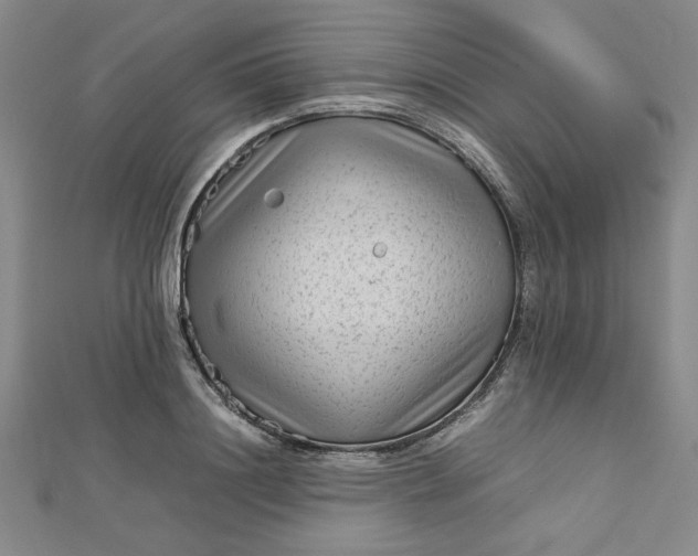 X0000112730844200909031442