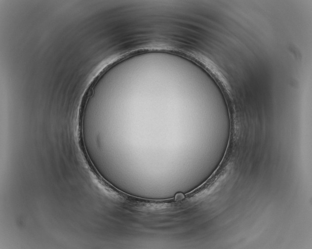 X0000112730845200909031442