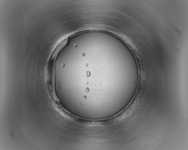 X0000112730846200909031442