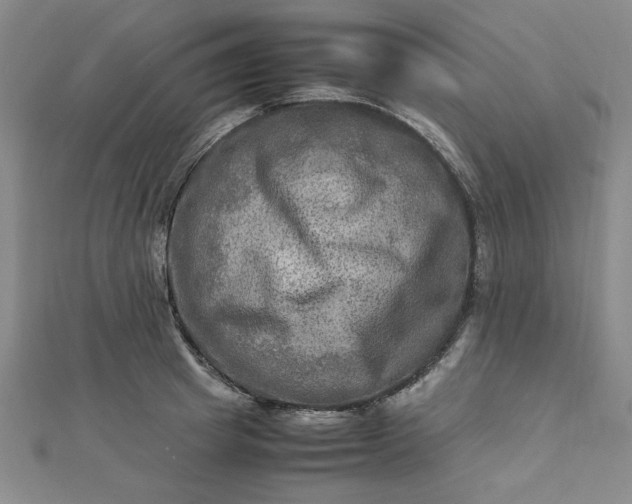 X0000112730849200909031443