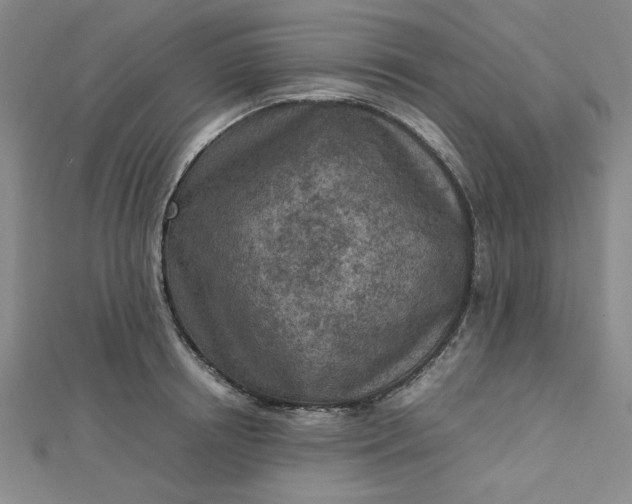 X0000112730850200909031443