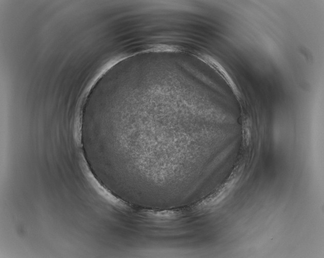 X0000112730851200909031443