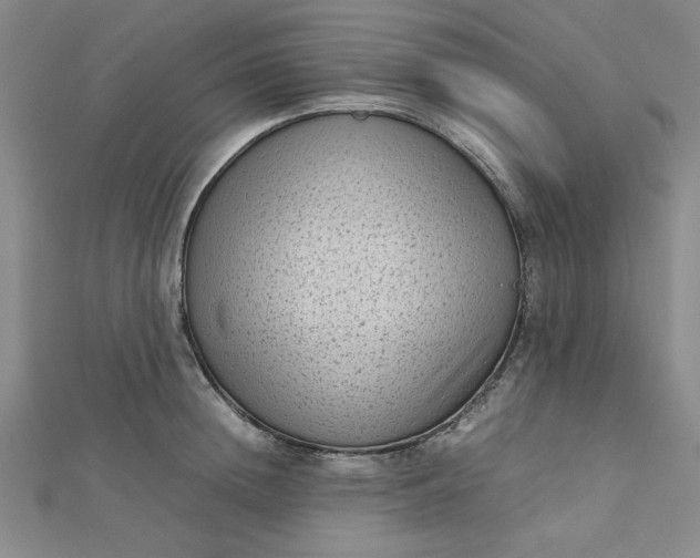 X0000112730852200909031443