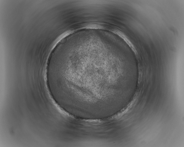 X0000112730853200909031443