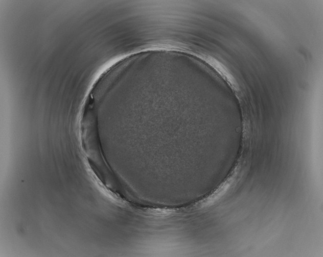 X0000112730854200909031443