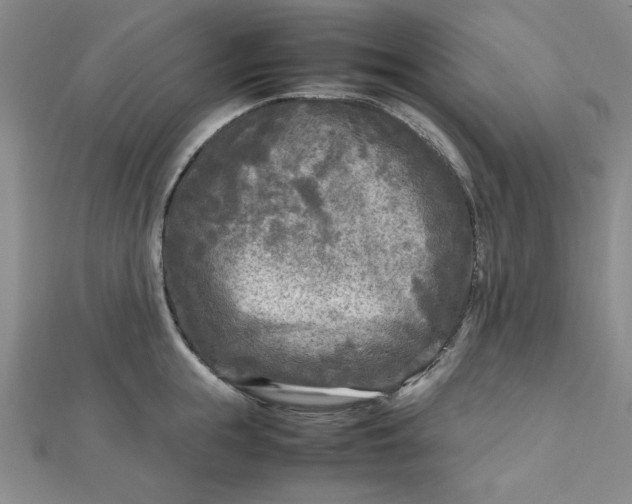 X0000112730855200909031443