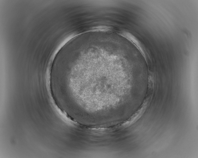 X0000112730859200909031443