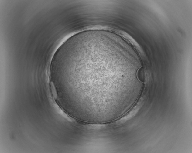 X0000112730860200909031443