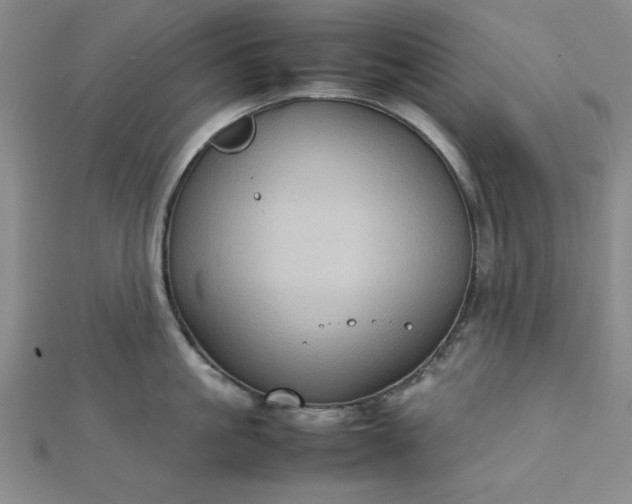 X0000112730861200909031443