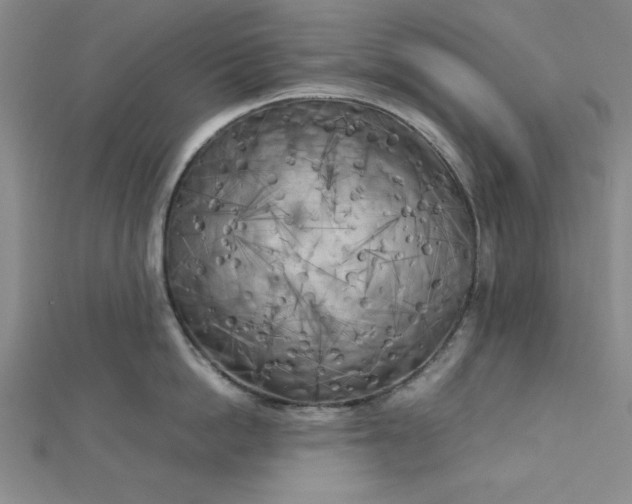 X0000112730862200909031443