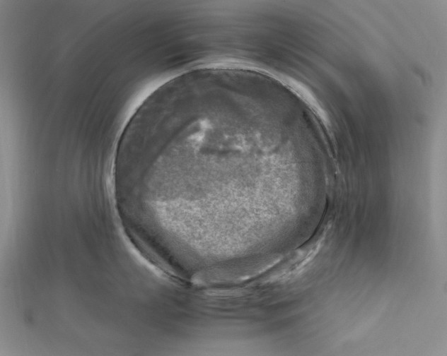 X0000112730863200909031443