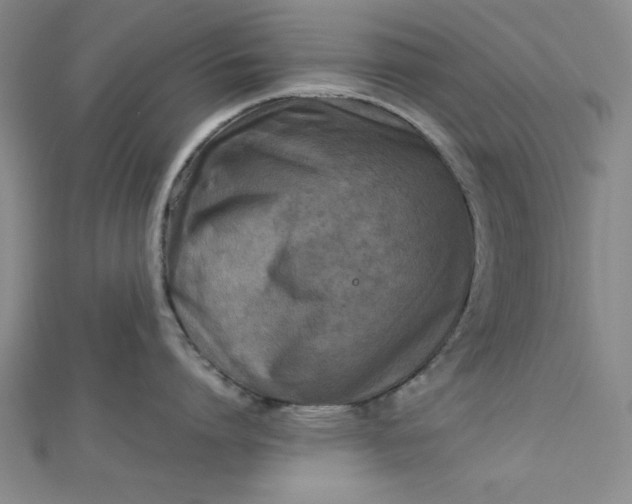 X0000112730864200909031443