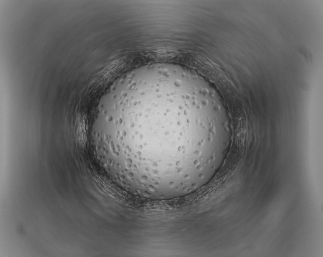 X0000112730866200909031442