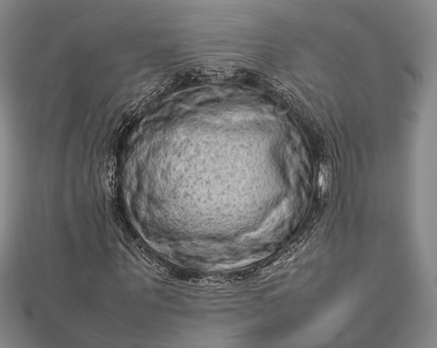 X0000112730867200909031442