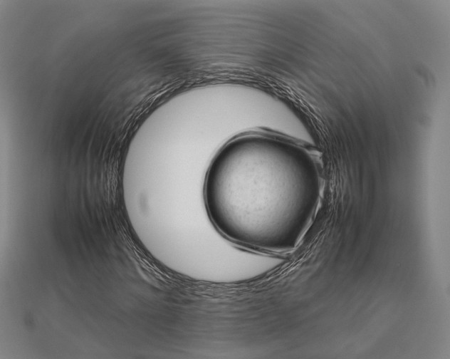 X0000112730868200909031442