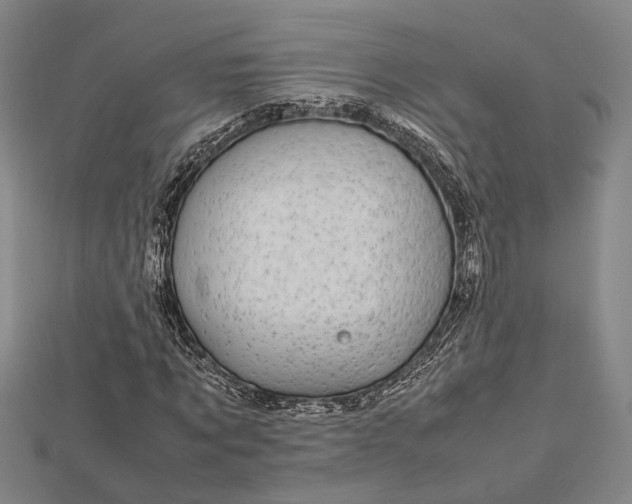 X0000112730869200909031442